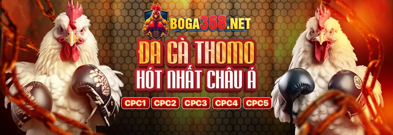 Đá gà trực tuyến 6623la với trận đấu gà kịch tính và người xem hò reo